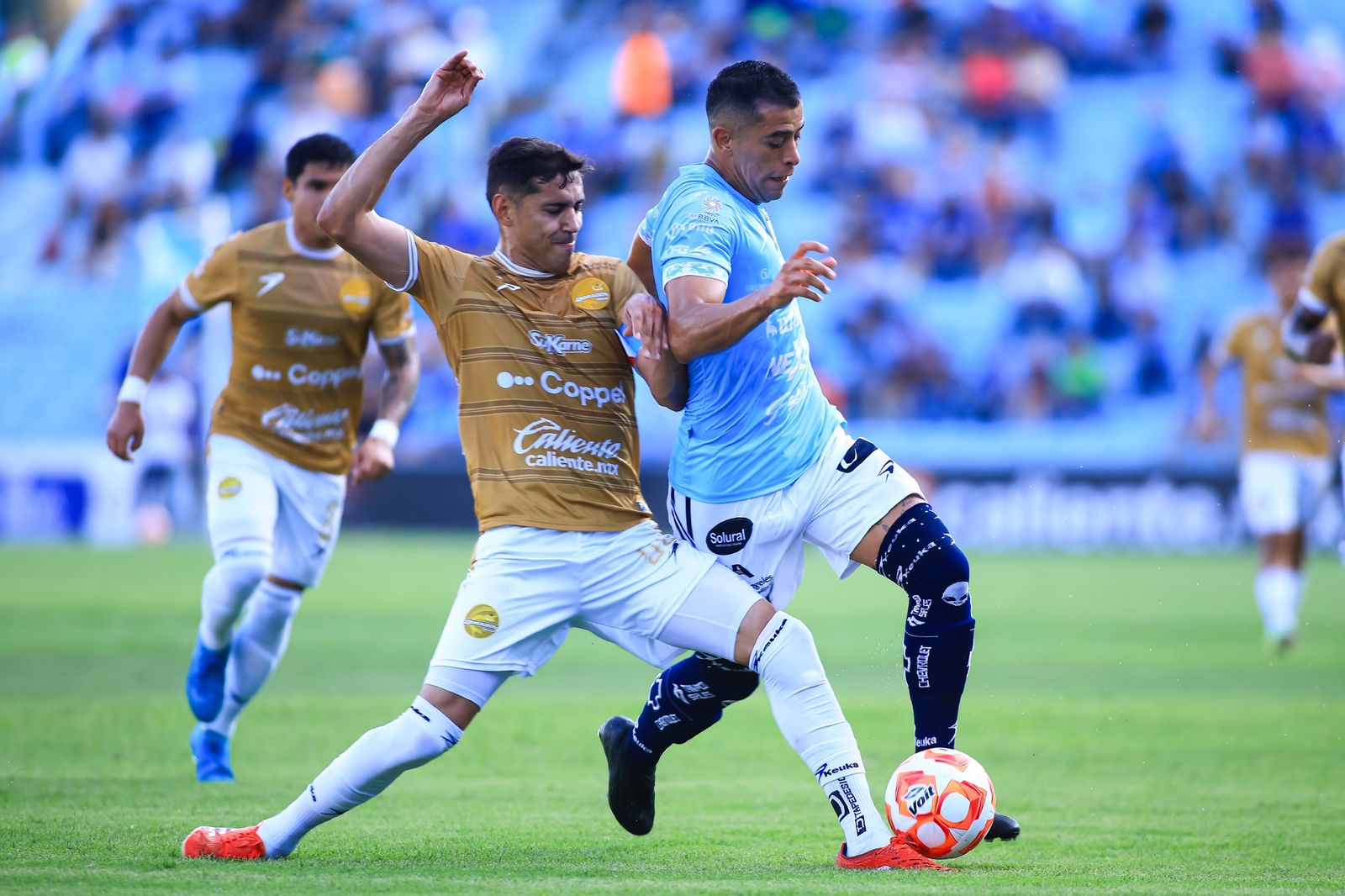 Dorados vs. Jaiba Brava