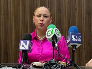 Dulce María Ruiz Castro