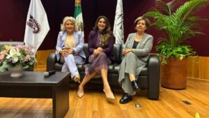 dulce ruiz presidenta de ammje