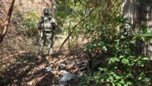 ejercito aseguran cargadores y mas de mil cartuchos en escuinapa sinaloa