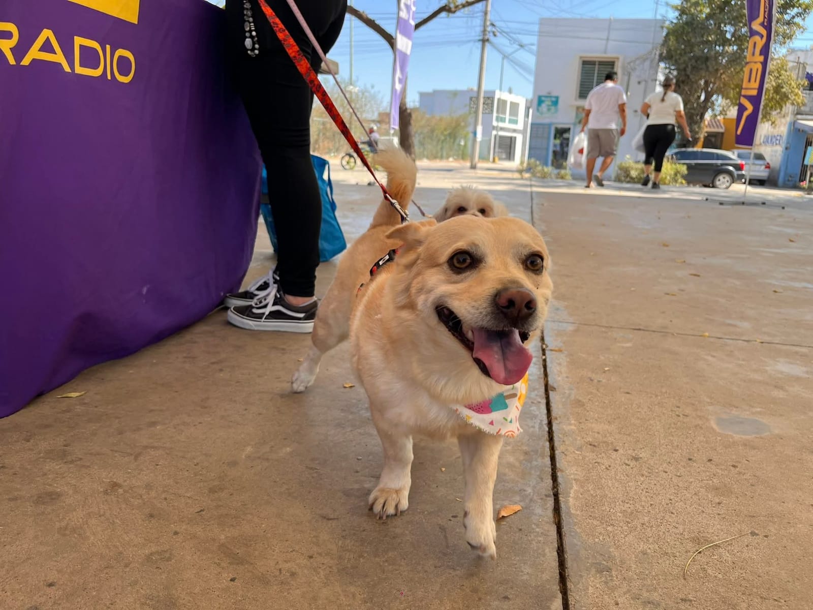 Entrega de kit para la Canrrera 2026 continúa en el Parque Lineal en Mazatlán