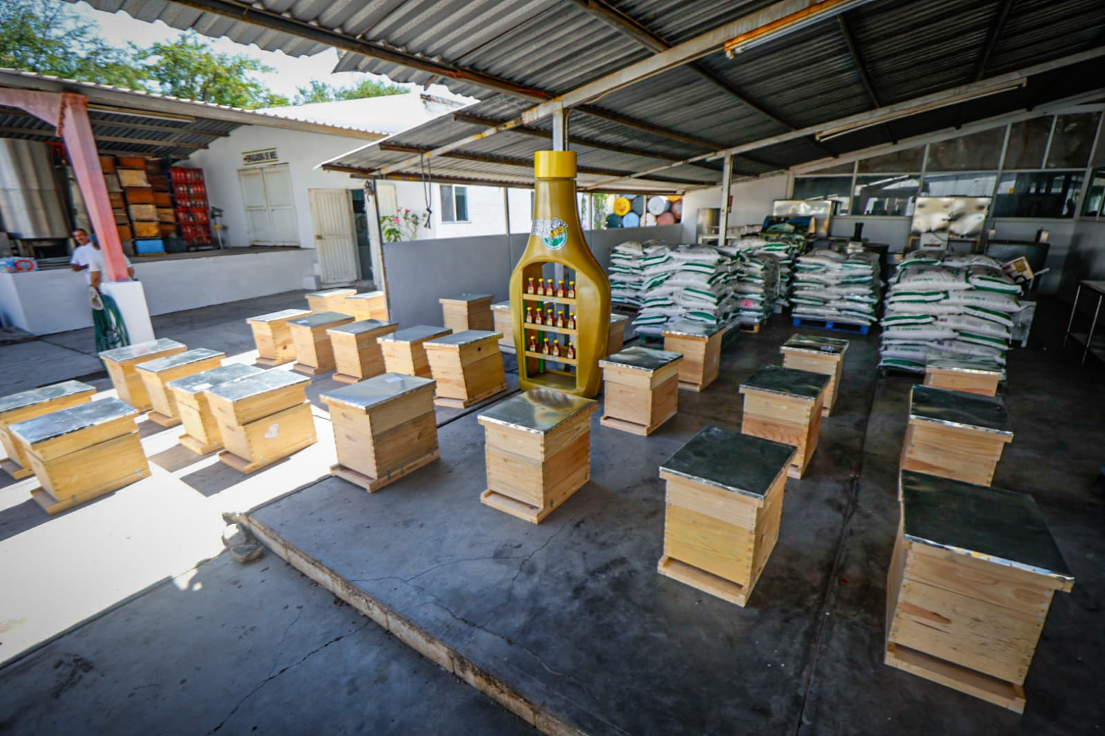 Alcalde de Culiacán entrega apoyos a apicultores