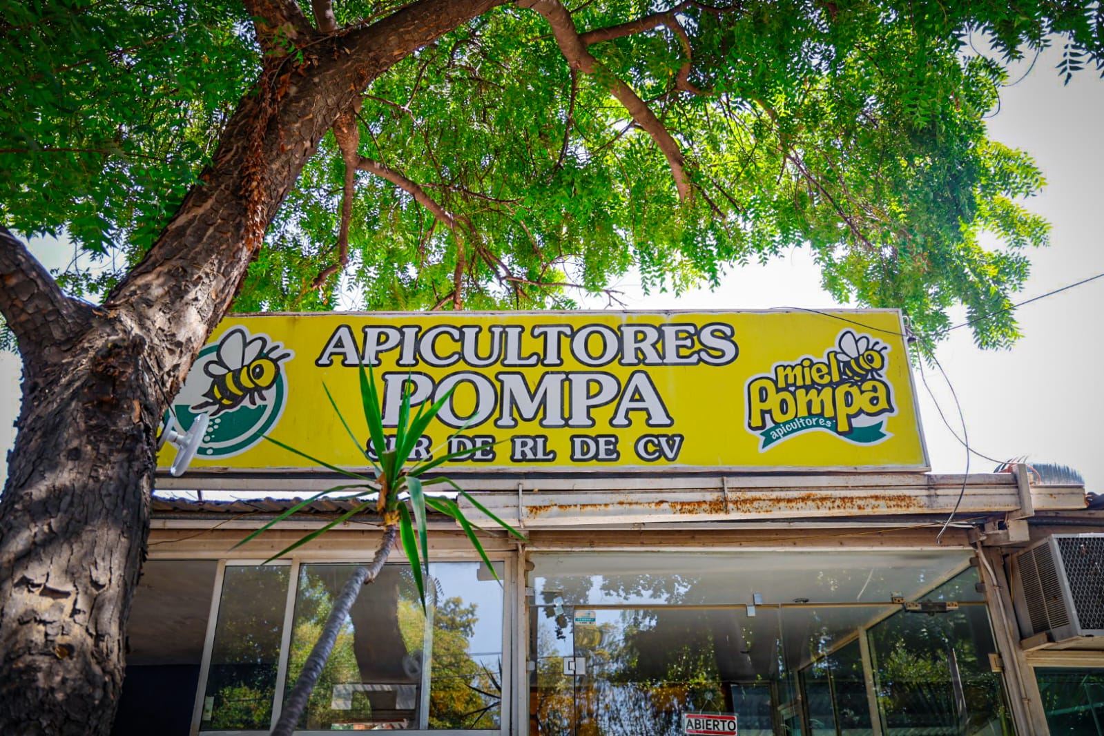 Apicultores Pompa, en Culiacán