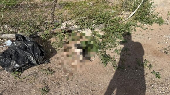 Denuncia “El Parra” acto de crueldad animal en Guamúchil, Sinaloa; envenenan a seis perritos adentro de su domicilio