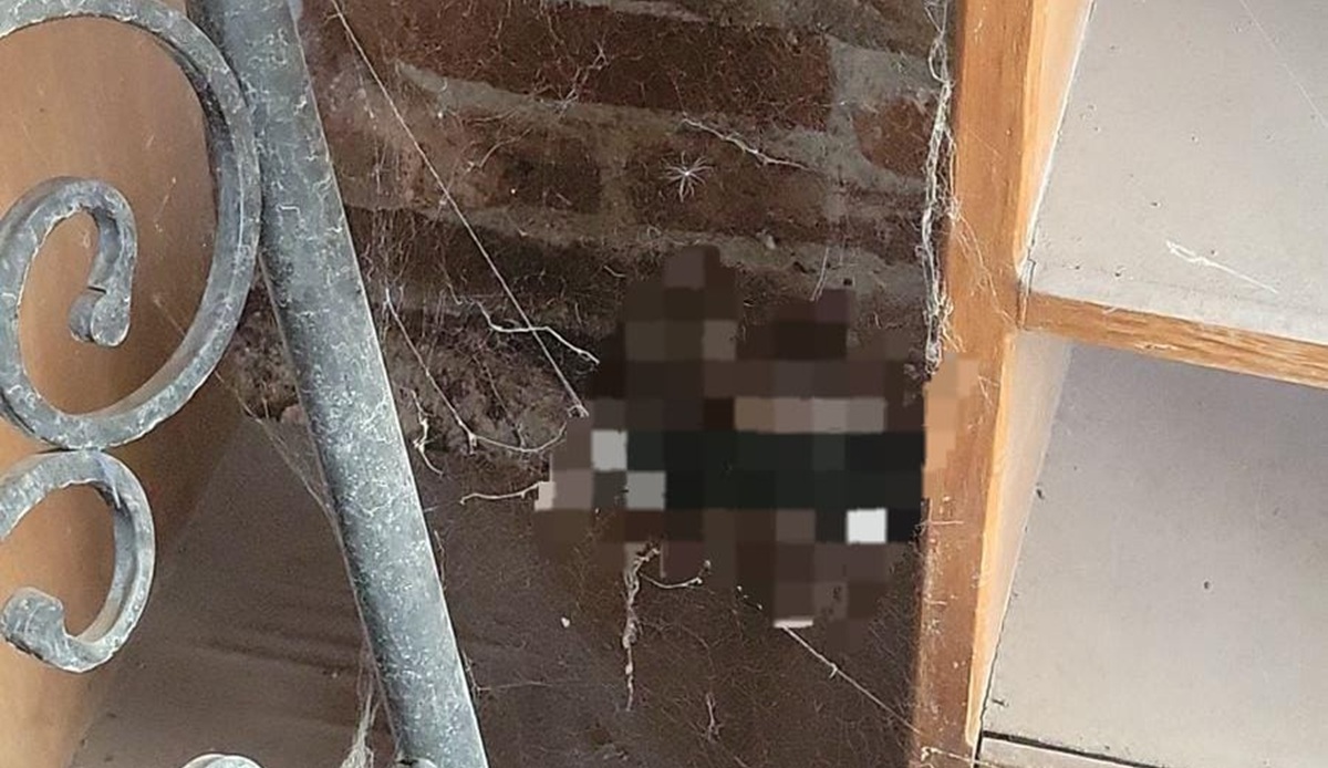 Envenenan a perritos de "El Parra", creador de contenido en Guamúchil