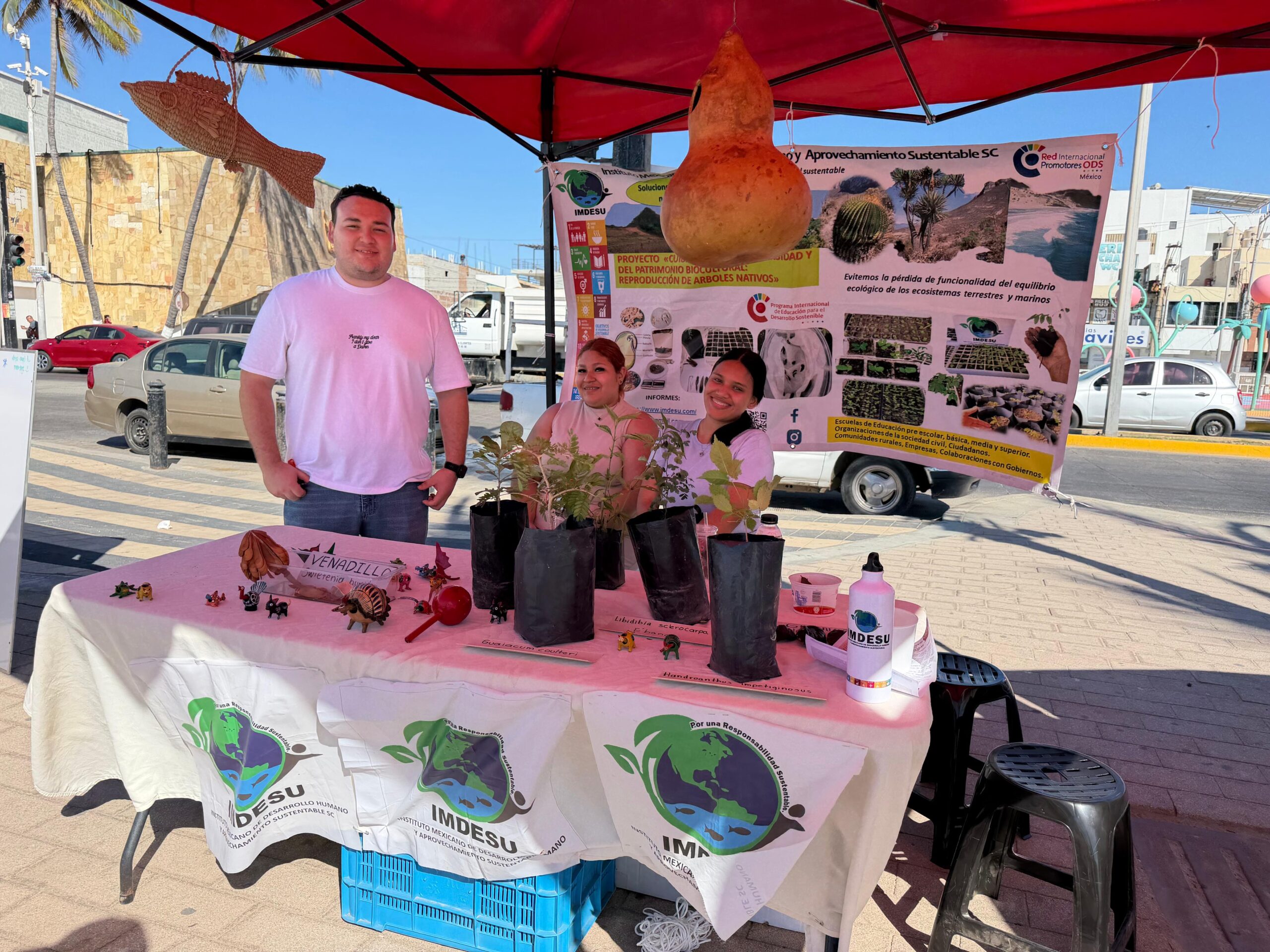 Equinoccio de Primavera reúne a colectivos en Mazatlán