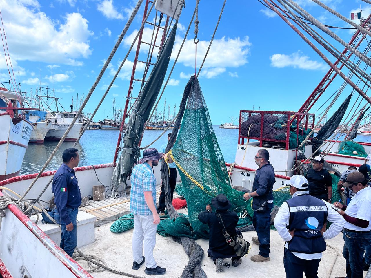 Estados Unidos inspecciona redes de captura de camarón en México