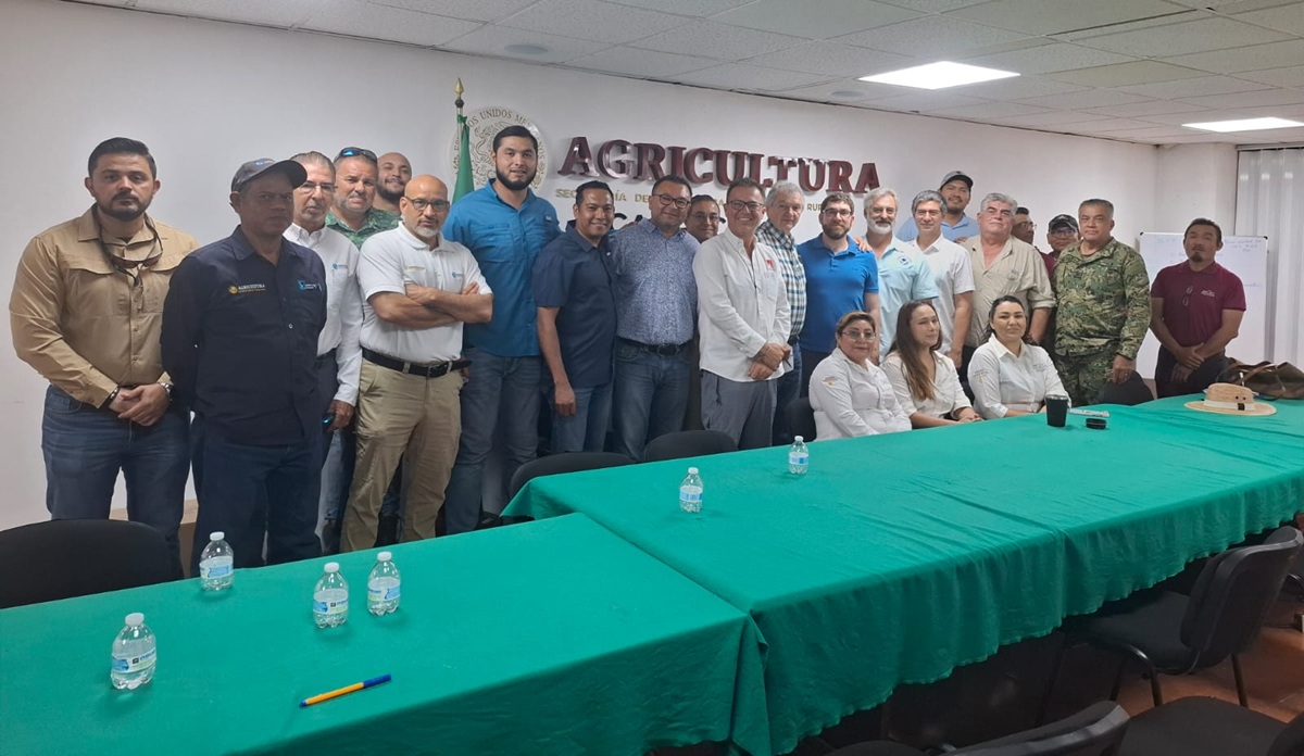 Estados Unidos inspecciona redes de captura de camarón en México