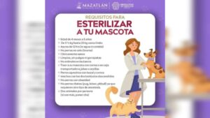 esterilizar a tu mascota