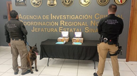 Decomisan un kilo de pastillas de fentanilo en una paquetería de Culiacán, Sinaloa