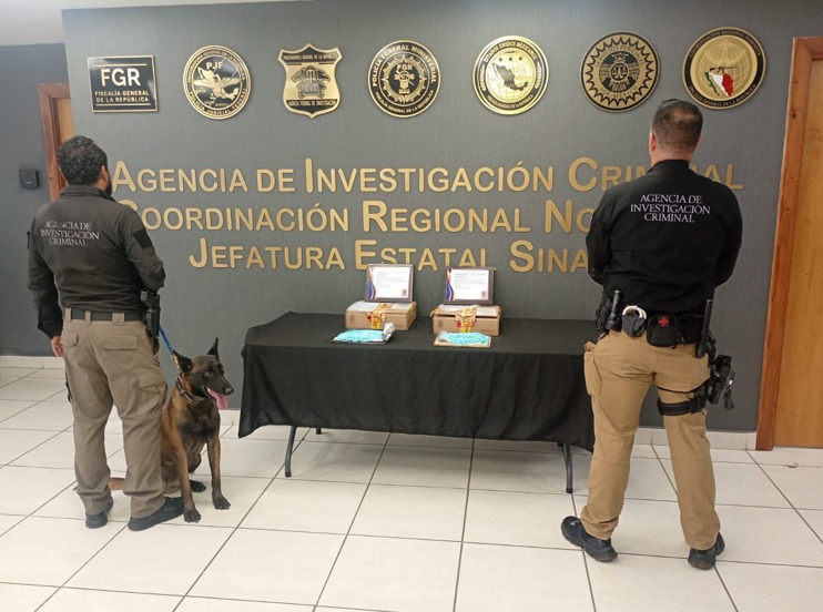 Decomisan fentanilo en Culiacán