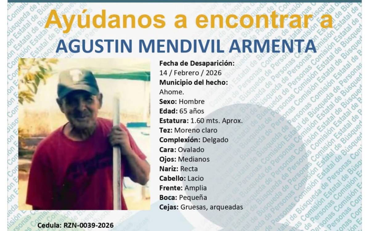 Ficha de búsqueda de Agustín Mendívil