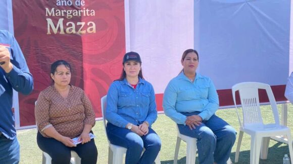 Vigilan veda del camarón en Sinaloa; advierten sanciones por pesca o venta ilegal