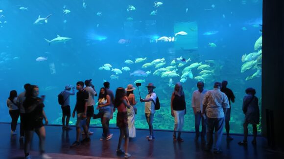 ¡Bienvenidos al Gran Acuario Mazatlán todas y todos los sinaloenses! Hay tarifa especial de 200 pesos este mes de marzo