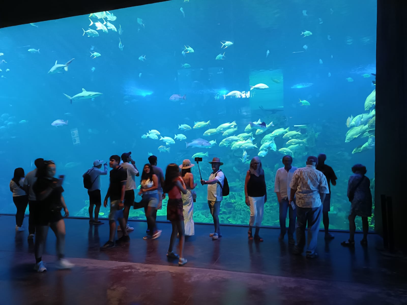 Gran Acuario Mazatlán