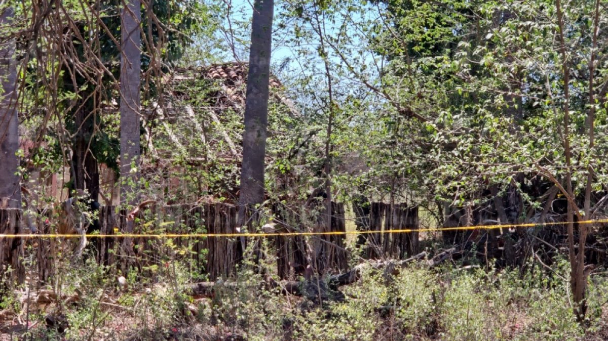 hallan dos cadaveres en el guasimal imala culiacan