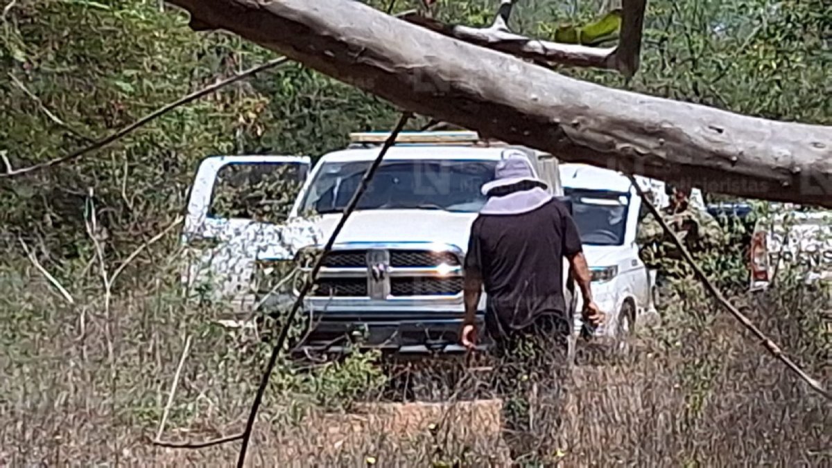 hallan los cadaveres de dos ejecutados en el guasimal imala buscan
