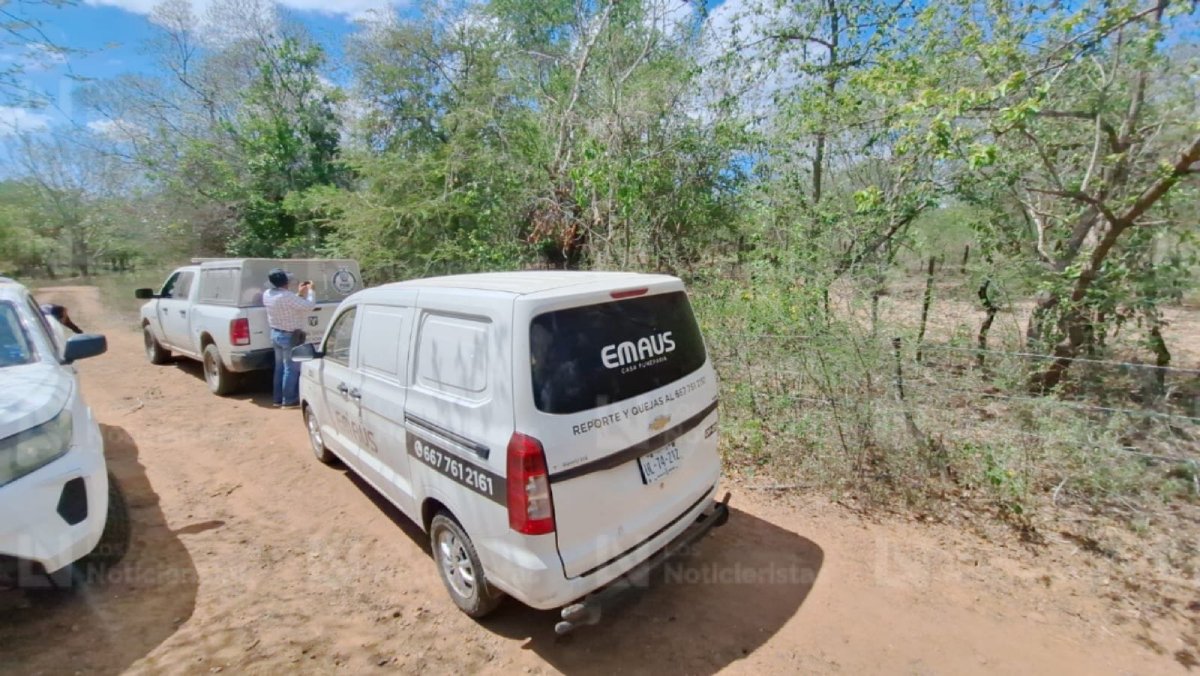 hallan los cadaveres de dos ejecutados en el guasimal imala lugares