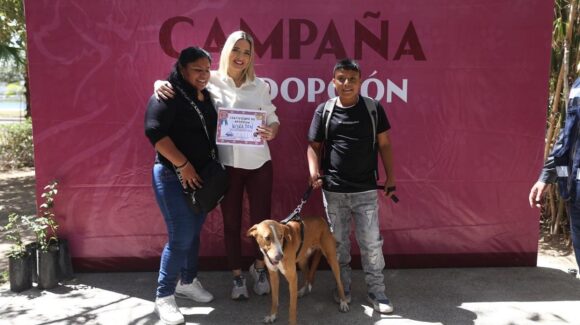 ‘Huellitas del Bienestar’, Mazatlán, Sinaloa lanza nueva campaña para dar hogar a perros y gatos en abandono