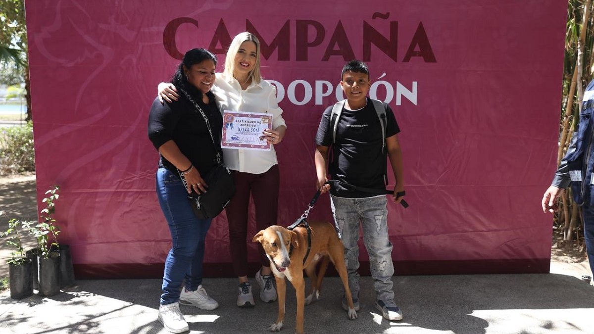 huellitas del bienesta mazatlan sinaloa lanza nueva campaña adopcion