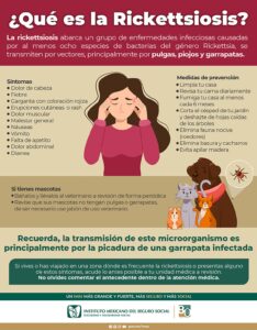 Información del IMSS sobre la rickettsiosis
