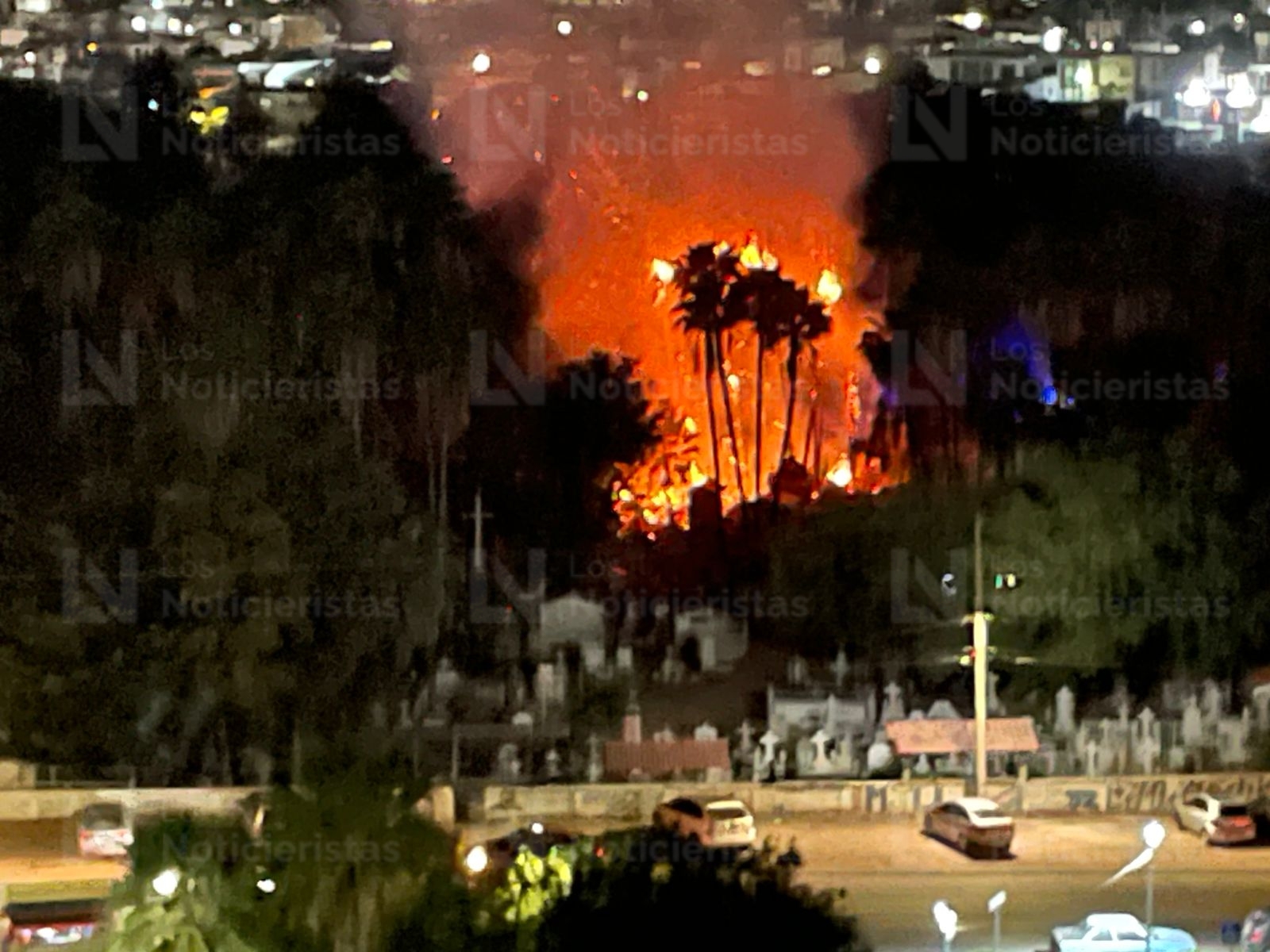 Incendio de palmeras en el Panteón Municipal de Los Mochis, Sin.