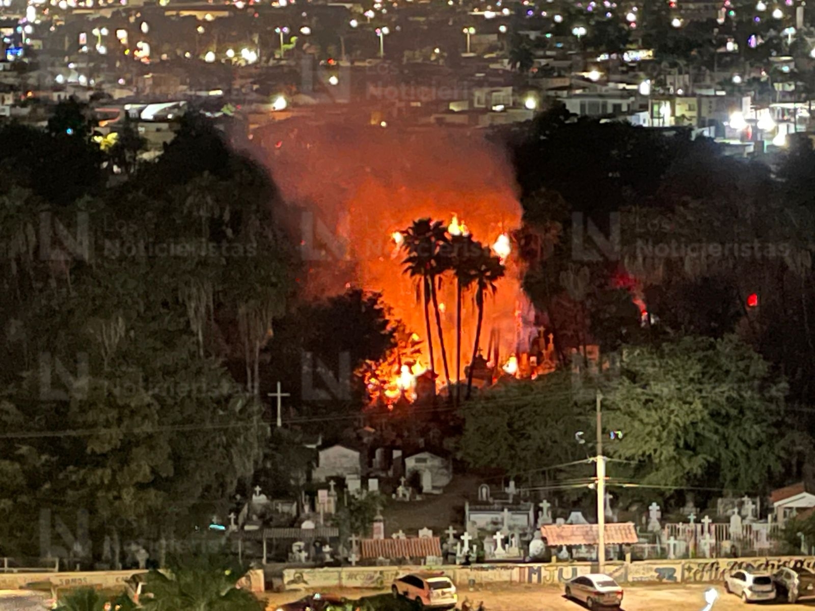 Incendio de palmeras en el Panteón Municipal de Los Mochis, Sin.