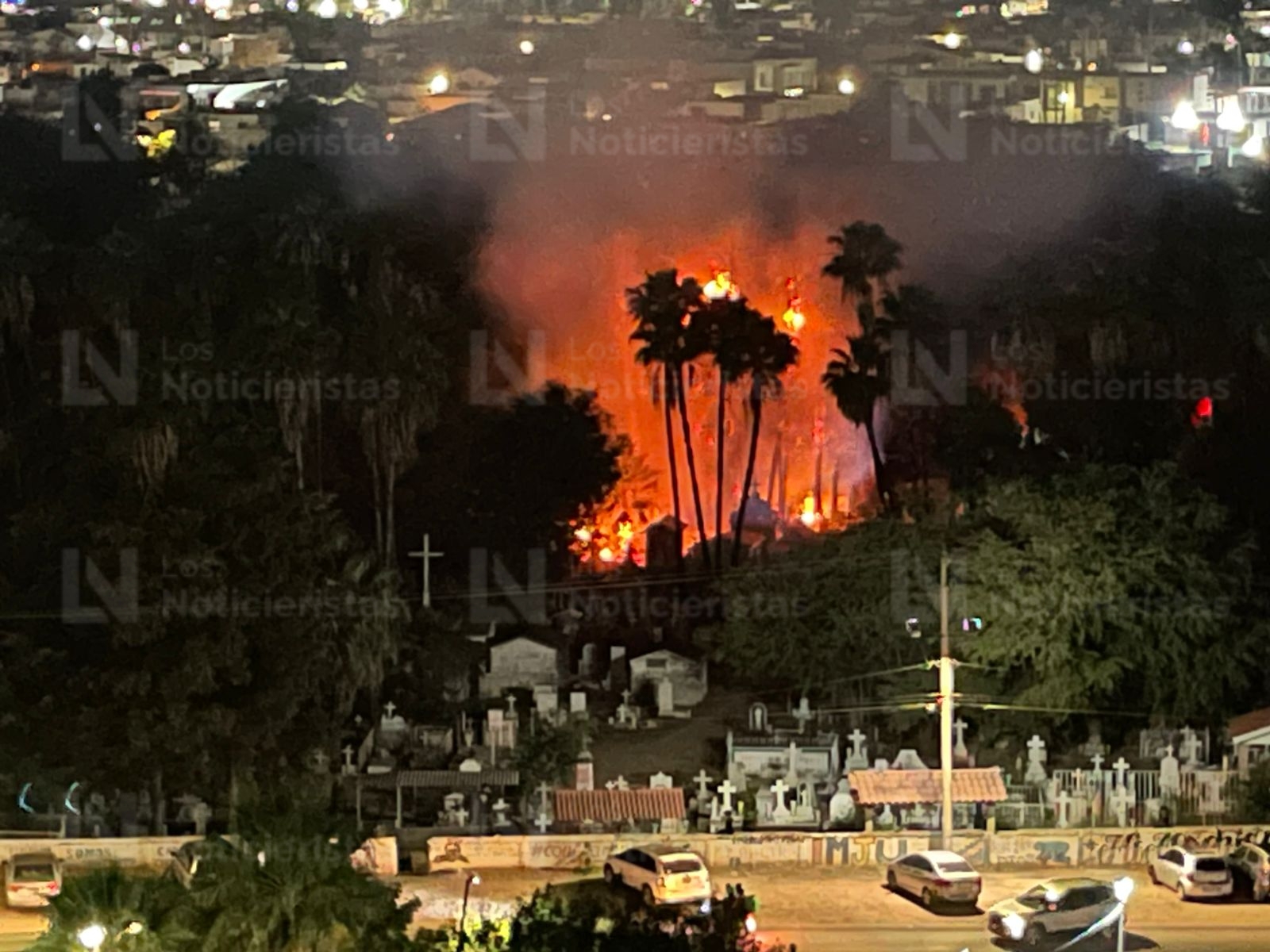 Incendio de palmeras en el Panteón Municipal de Los Mochis, Sin.