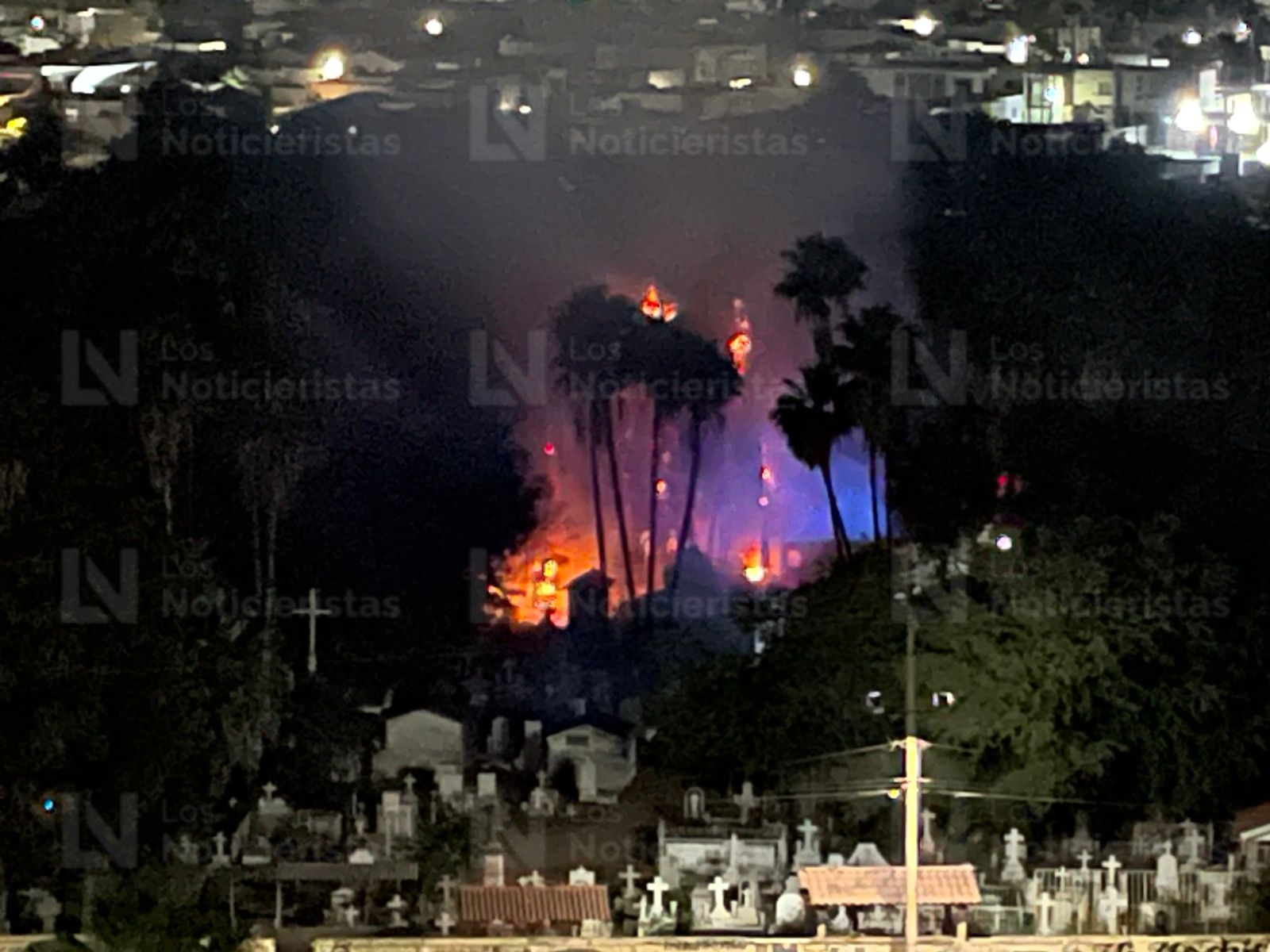 Incendio de palmeras en el Panteón Municipal de Los Mochis, Sin.