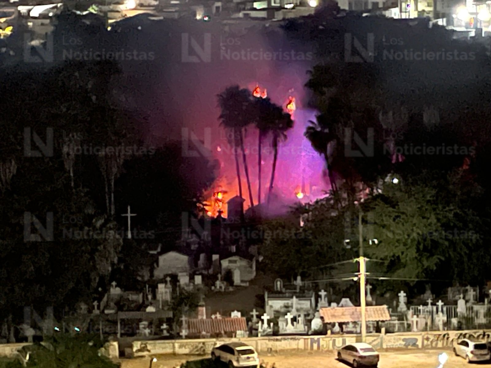 Incendio de palmeras en el Panteón Municipal de Los Mochis, Sin.