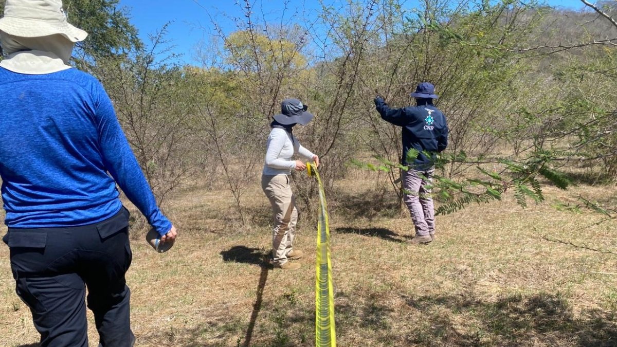 jornadas de busqueda en concordia sinaloa lugares