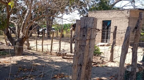 Tercer crimen en 48 horas en Escuinapa, Sinaloa: hallan a joven ejecutado en Rincón del Verde