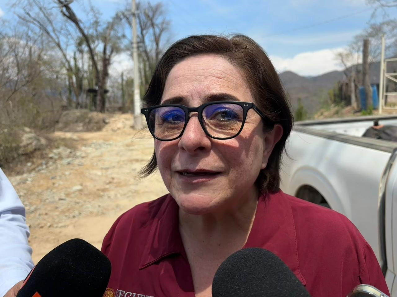 Laura Velázquez Alzúa, coordinadora nacional de Protección Civil.