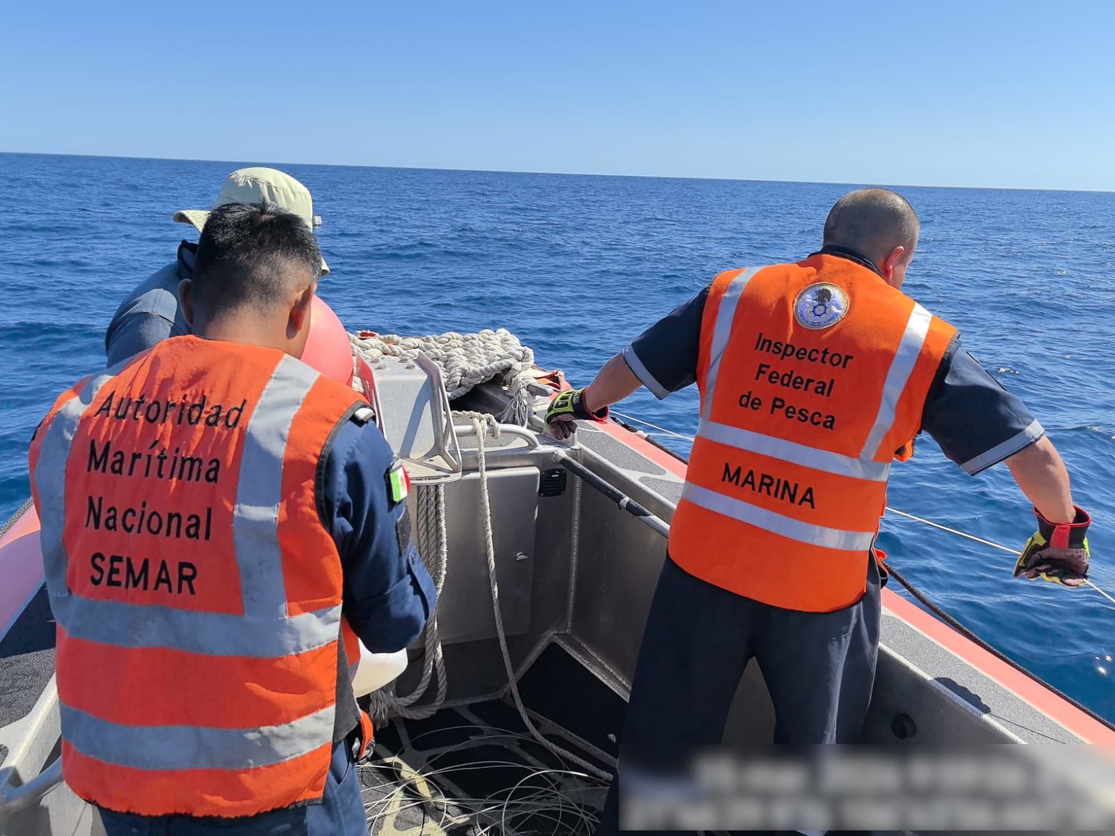 Liberación de tortugas y tiburones atrapados en red abandonada en Islas Marías
