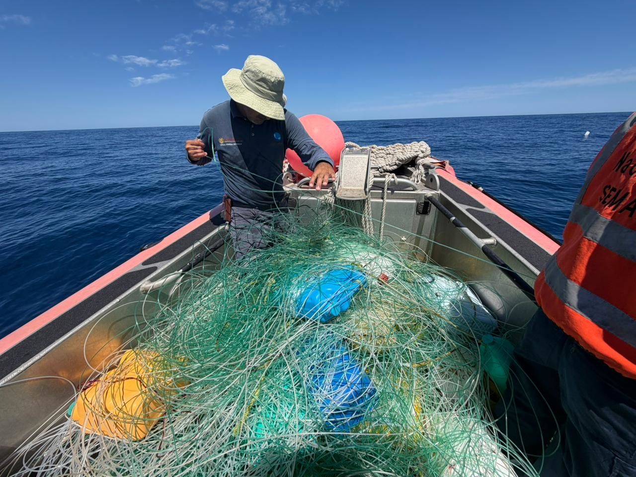 Liberación de tortugas y tiburones atrapados en red abandonada en Islas Marías