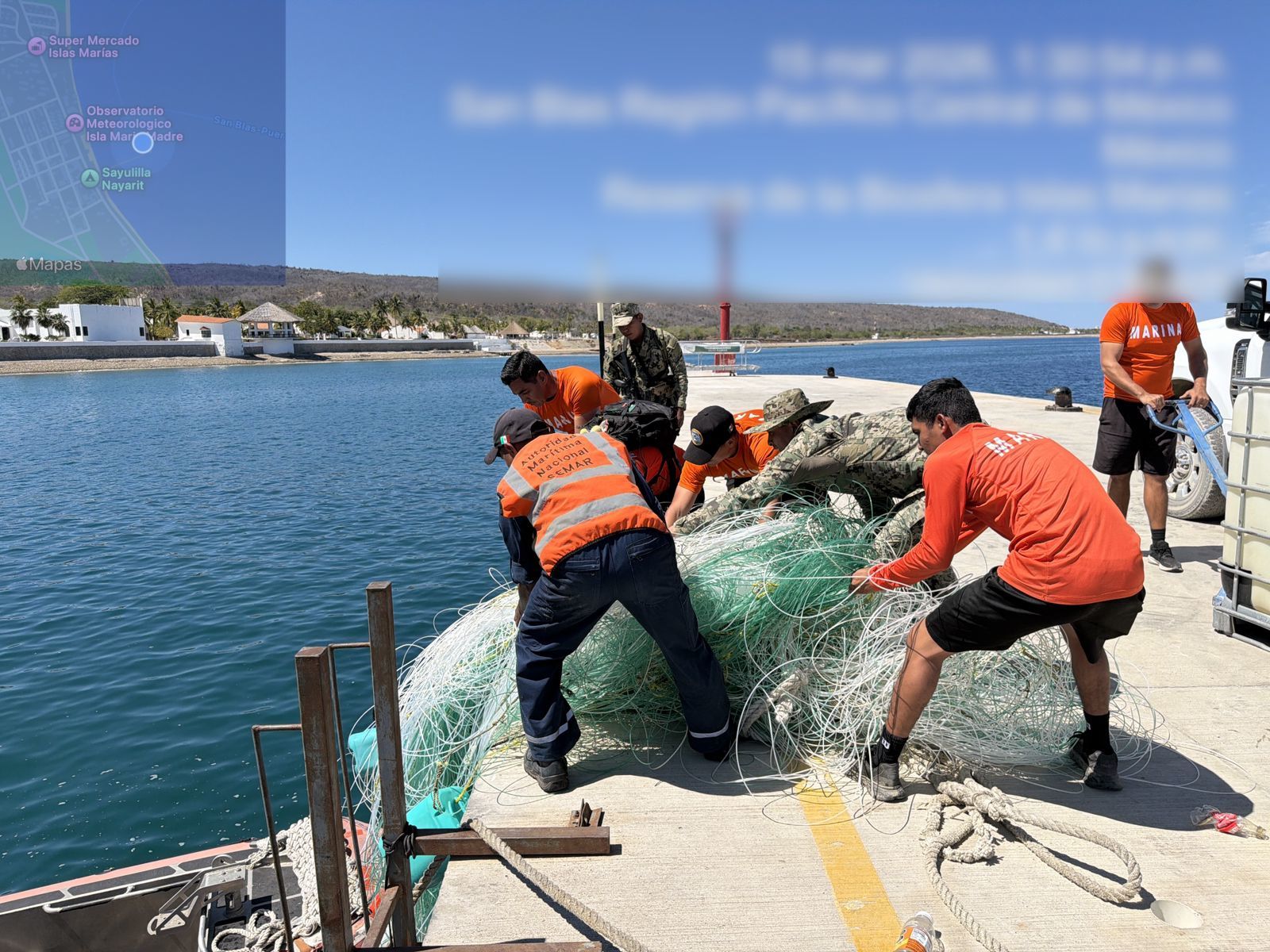 Liberación de tortugas y tiburones atrapados en red abandonada en Islas Marías