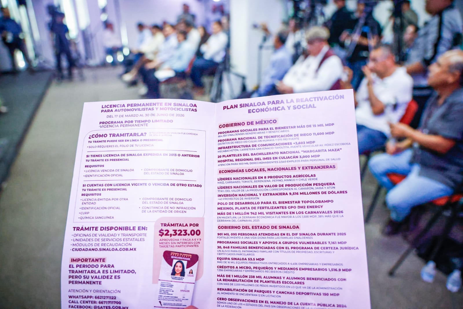 Licencia permanante