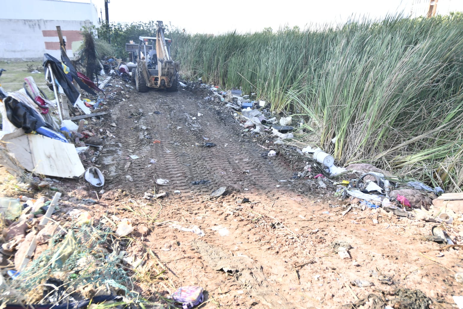 Limpieza en la Laguna del Camarón en Mazatlán