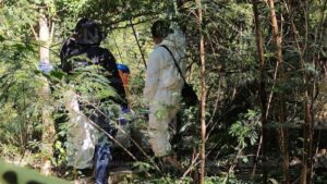localizan cadaver encalado en pista aerea de villa benito juarez lugar