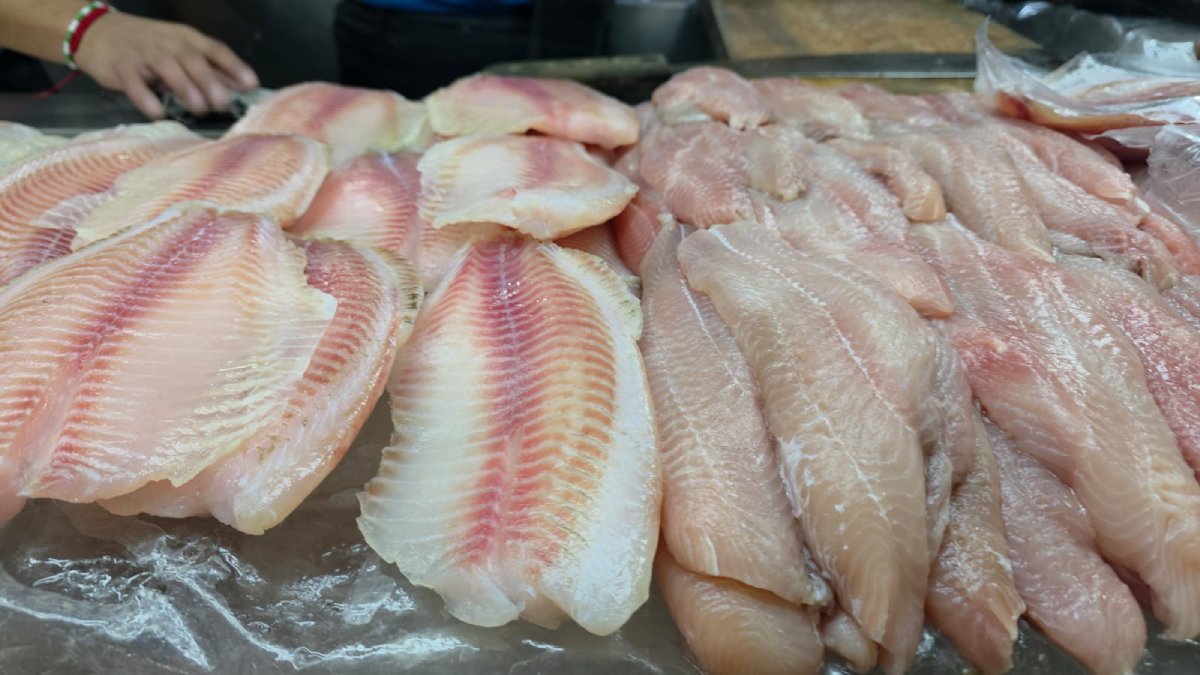 locatarios del mercado garmendia en culiacan pescado