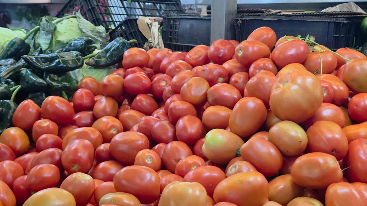 locatarios del mercado garmendia en culiacan tomate