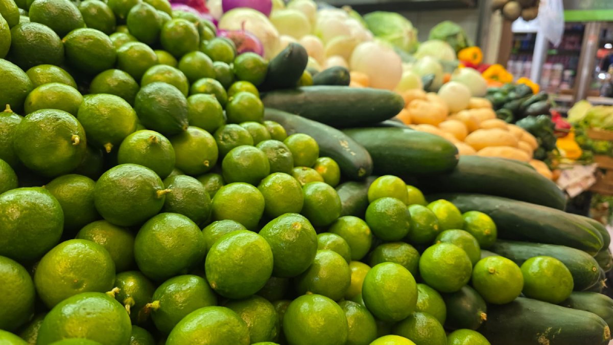 locatarios del mercado garmendia en culiacan