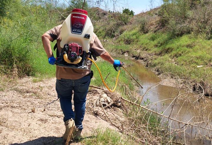 diversos espacios recreativos de salvador alvarado estan siendo fumigados por la autoridad