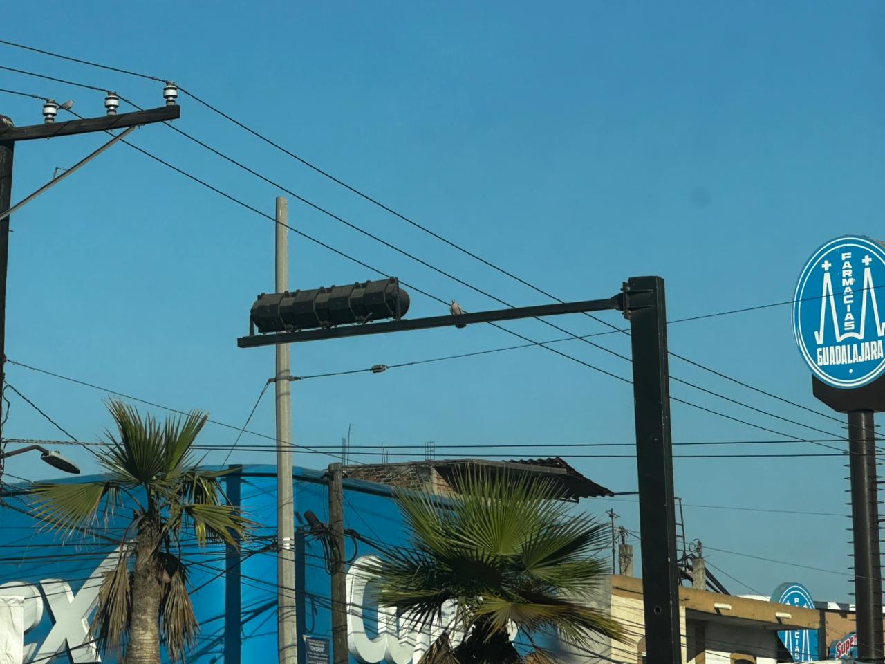 semaforos dañados en villa union mazatlan tras muerte del mencho no han sido reparados