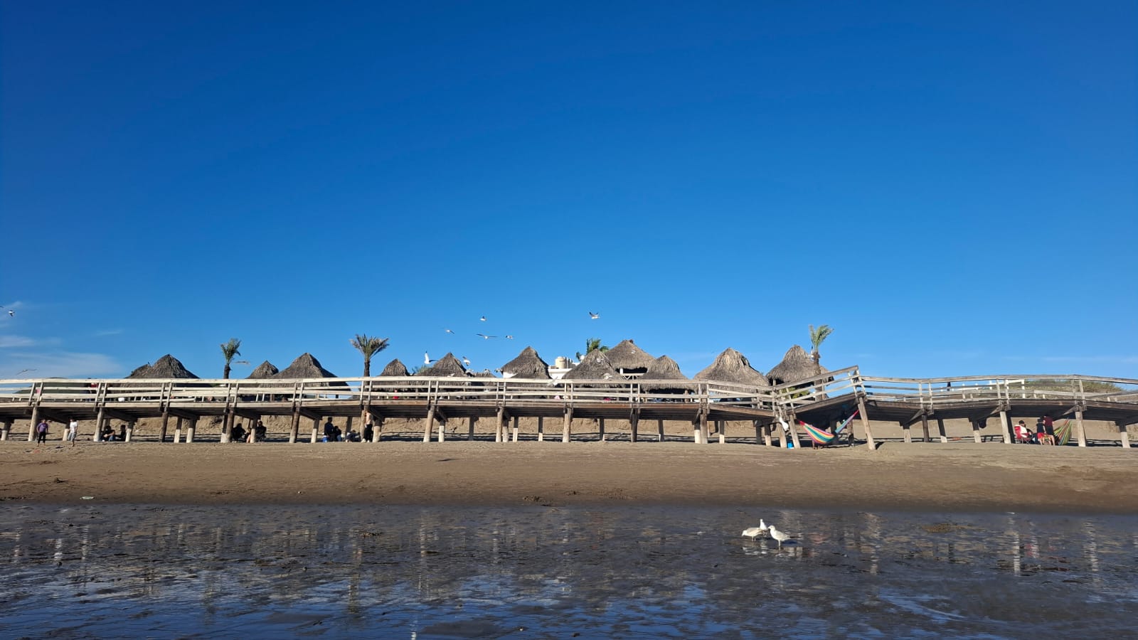 El Maviri