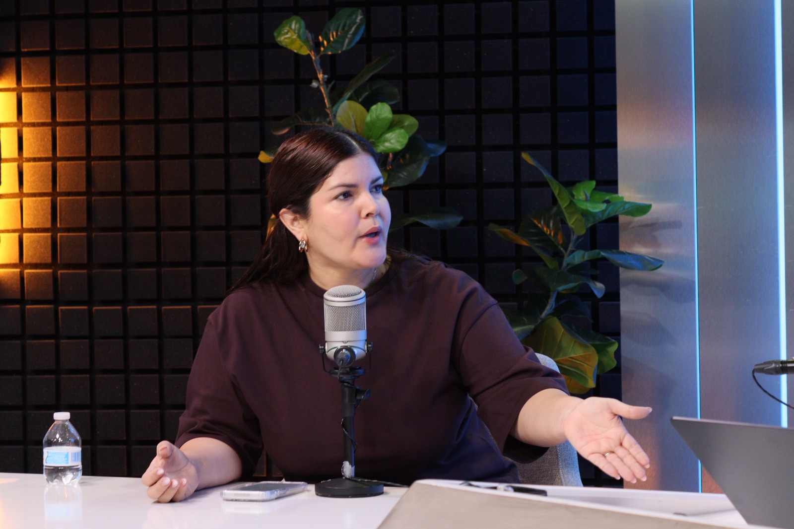 merary villegas sanchez diputada federal