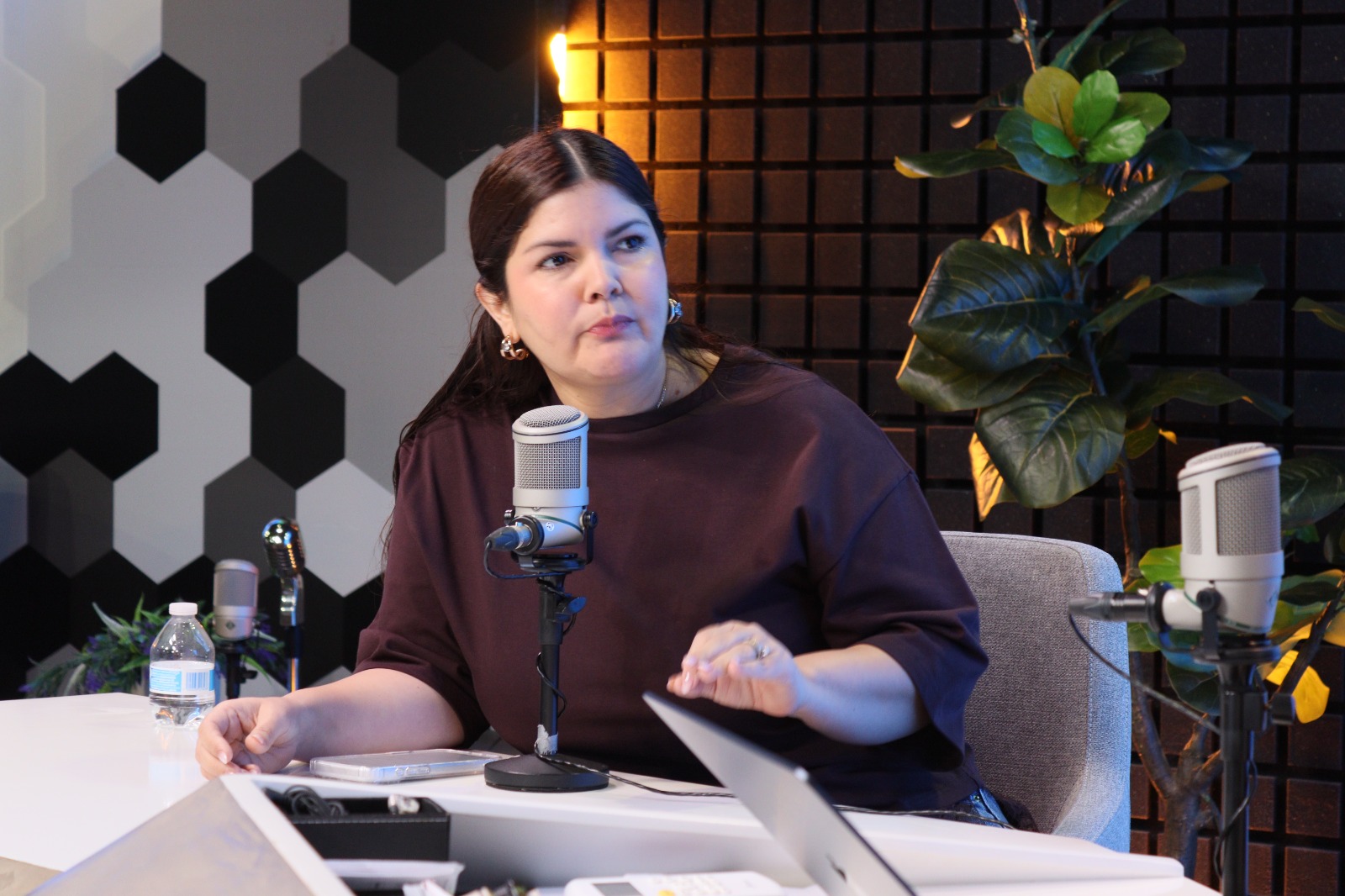 merary villegas sanchez diputada federal