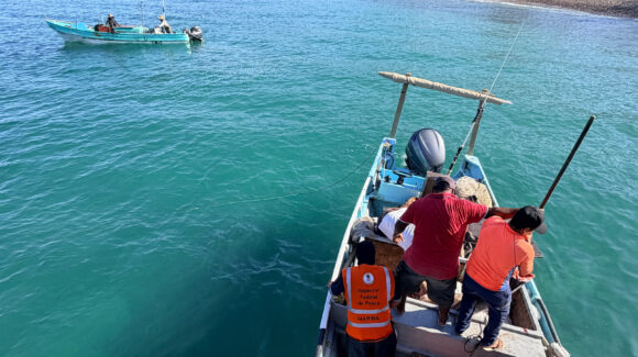 Liberan especies protegidas y decomisan pesca ilegal en Islas Marías de Nayarit