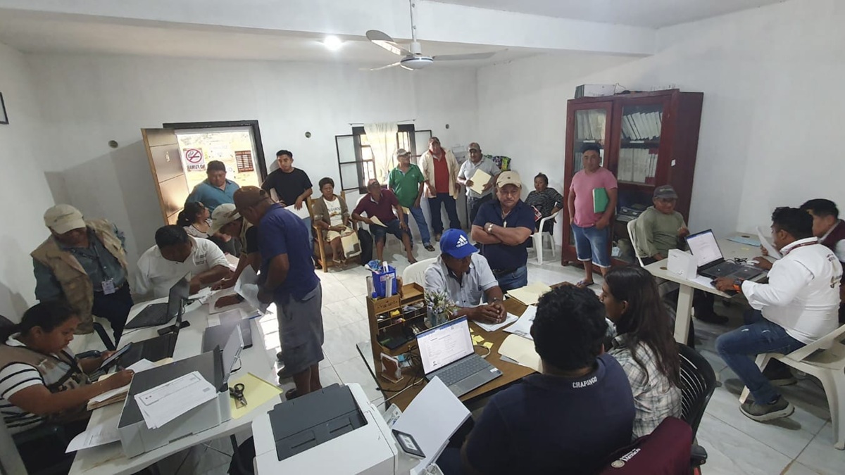 Sader paga a productores de maíz en ocho estados de México