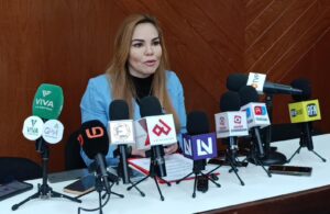 Diputada Paola Gárate Valenzuela, PRI